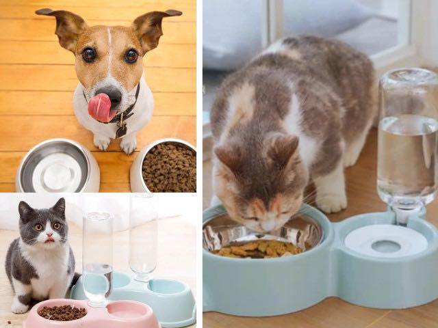 Những vật dụng mà các amp;#34;con senamp;#34; nên sắm cho amp;#34;boss cưngamp;#34;, có món chỉ 7.000 đồng nhưng rất tiện lợi - 2