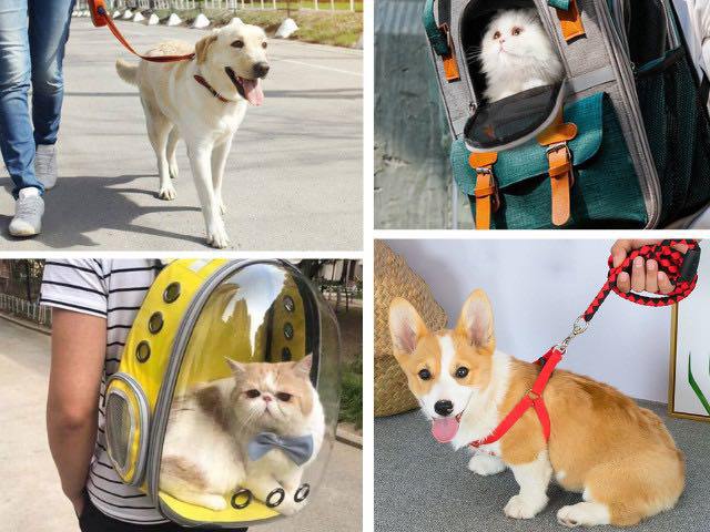 Những vật dụng mà các amp;#34;con senamp;#34; nên sắm cho amp;#34;boss cưngamp;#34;, có món chỉ 7.000 đồng nhưng rất tiện lợi - 4