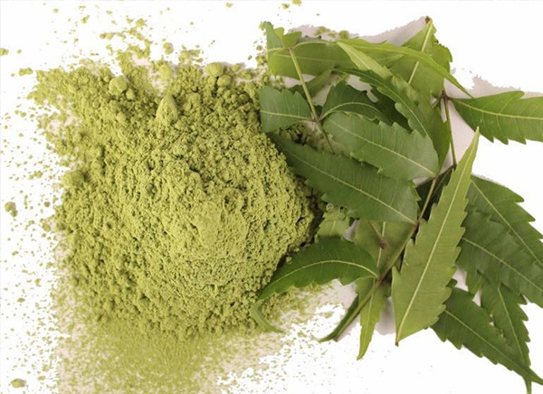 Bật mí 3 loại Bột làm đẹp